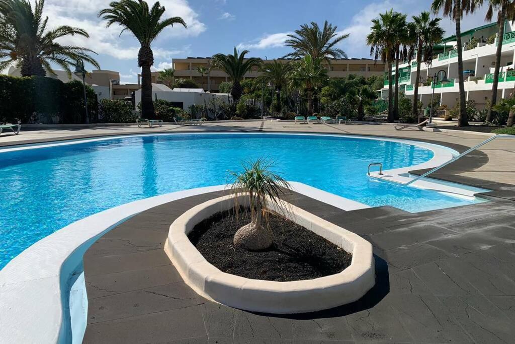 Appartement Bastian Casas Verdes
